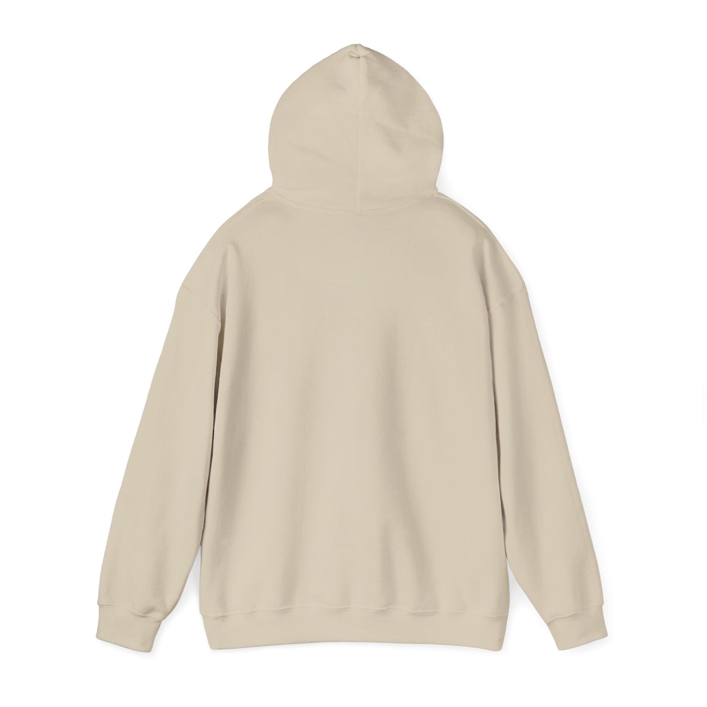 USAF Roundel Hoodie