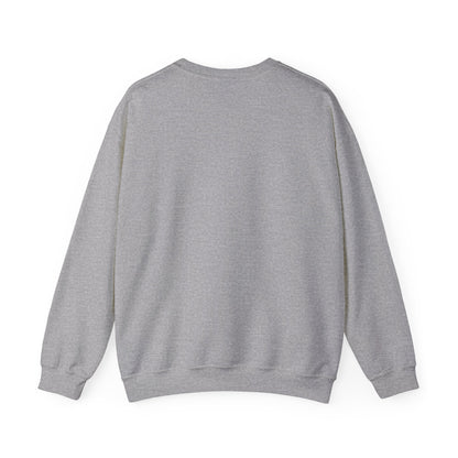 USAF Roundel Crewneck Sweatshirt