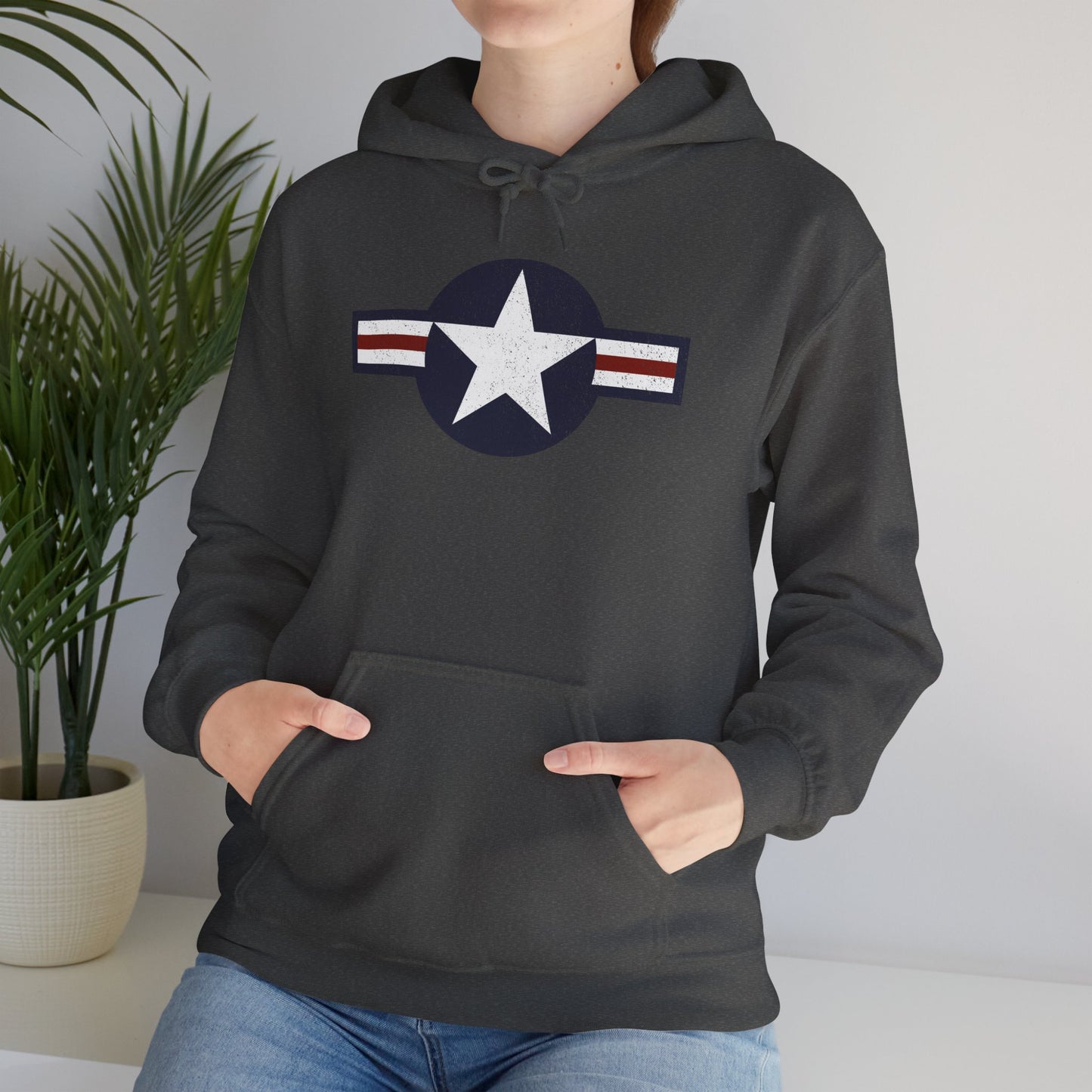 USAF Roundel Hoodie