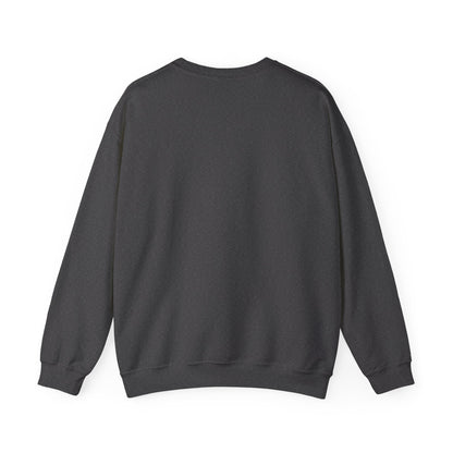 Low-Visibility USAF Roundel Crewneck Sweatshirt