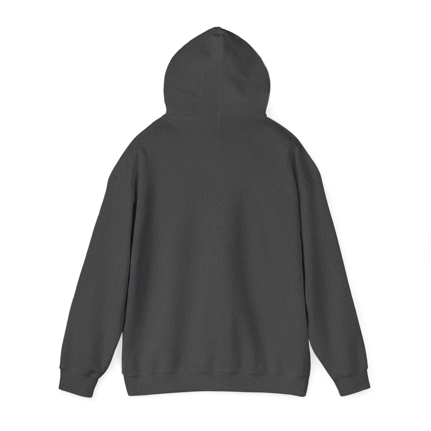 USAF Roundel Hoodie