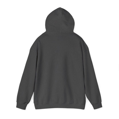 USAF Roundel Hoodie