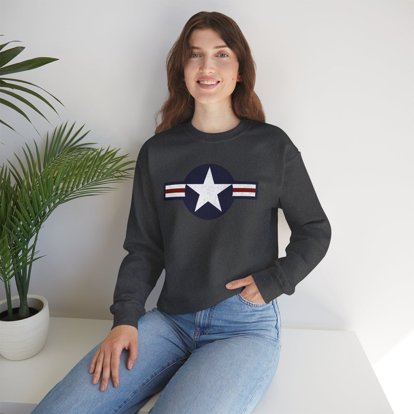USAF Roundel Crewneck Sweatshirt