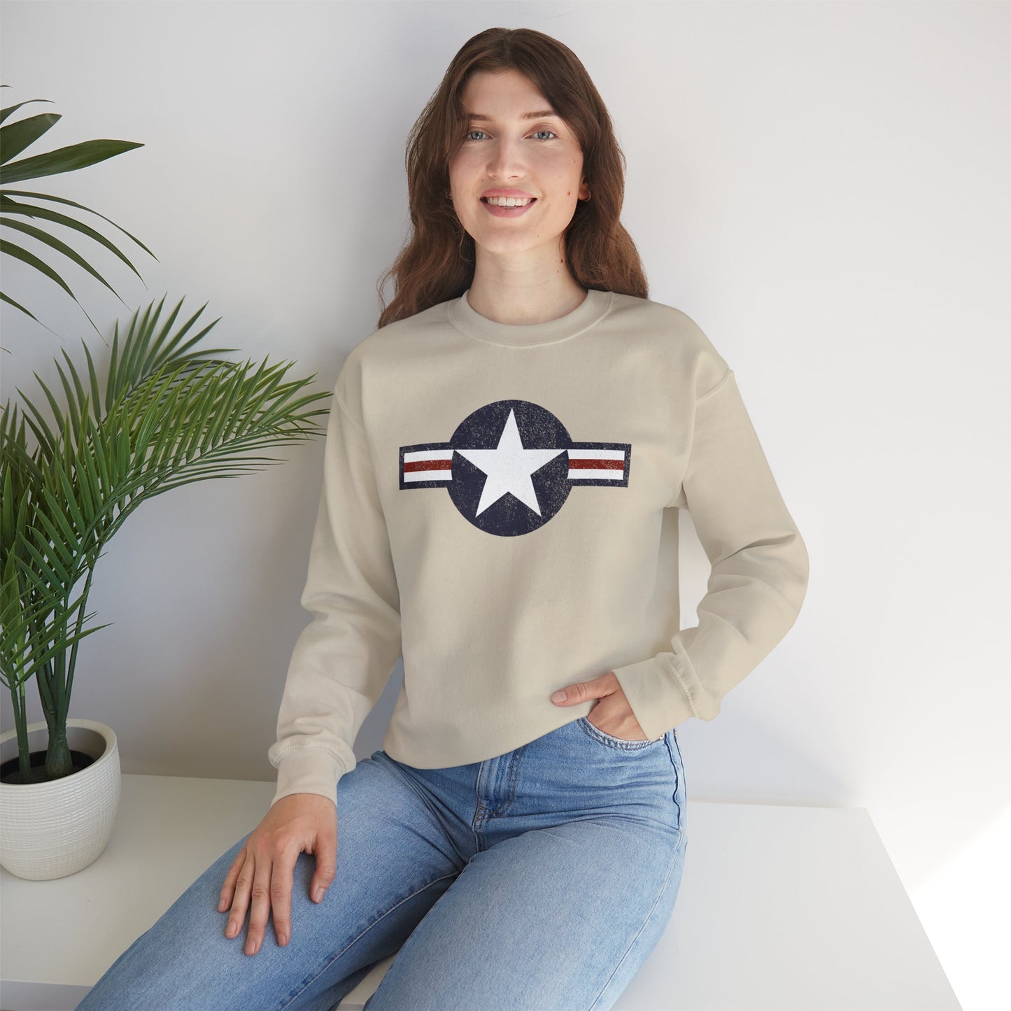 USAF Roundel Crewneck Sweatshirt