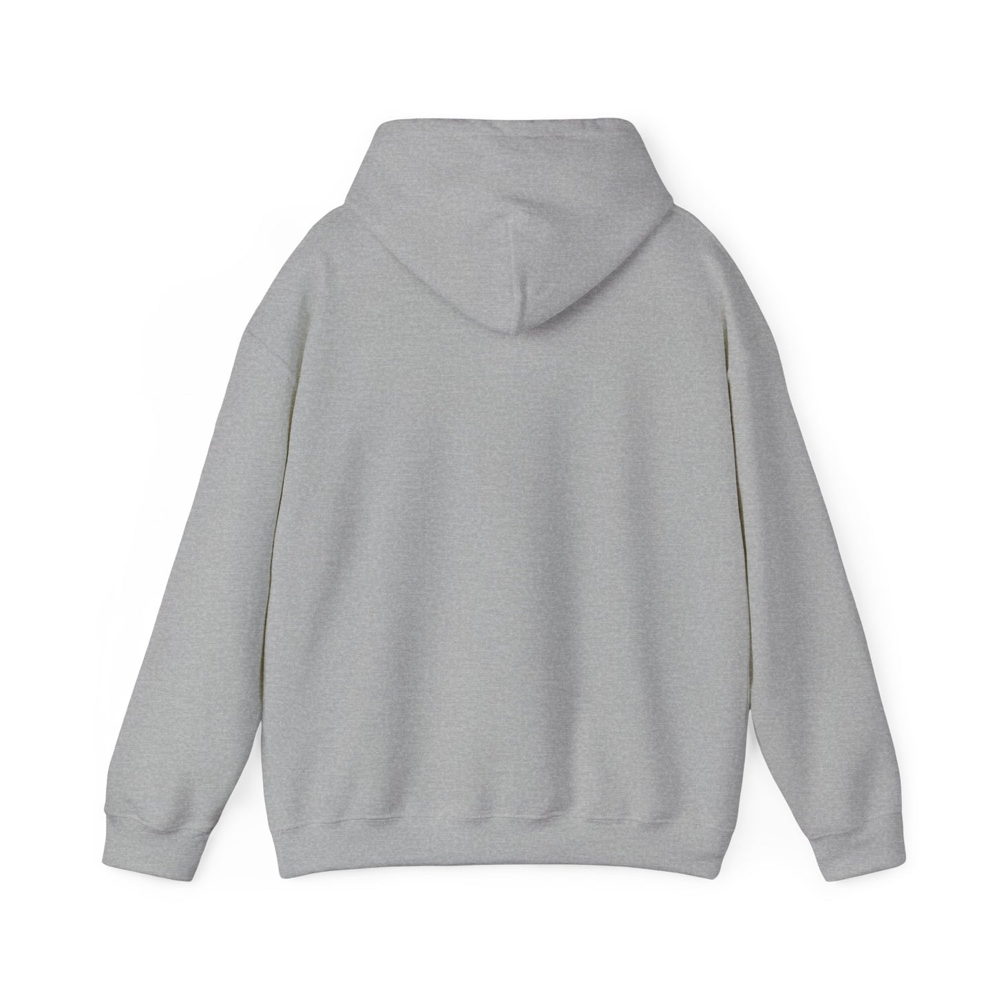 USAF Roundel Hoodie
