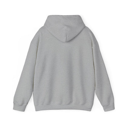 USAF Roundel Hoodie