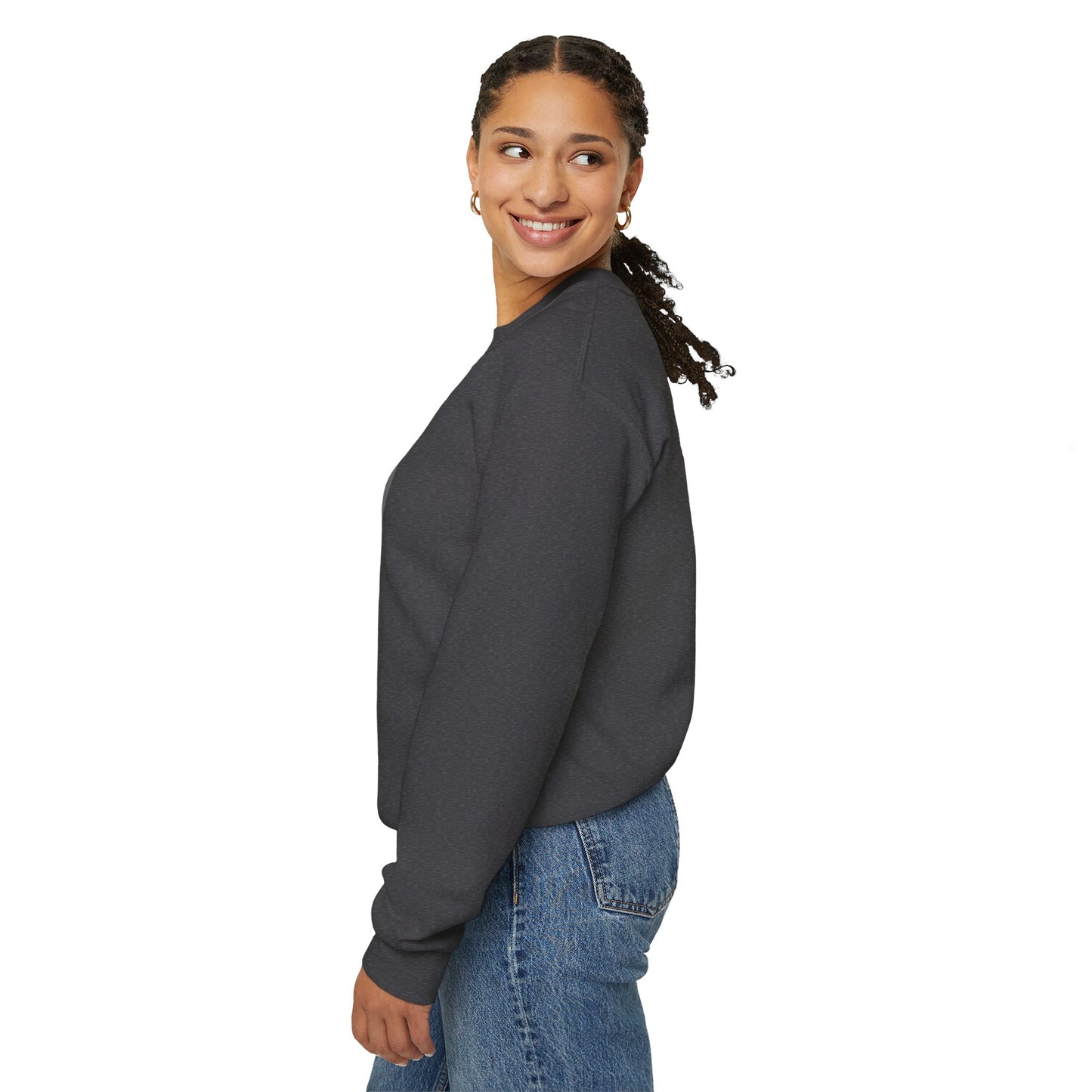 Low-Visibility USAF Roundel Crewneck Sweatshirt