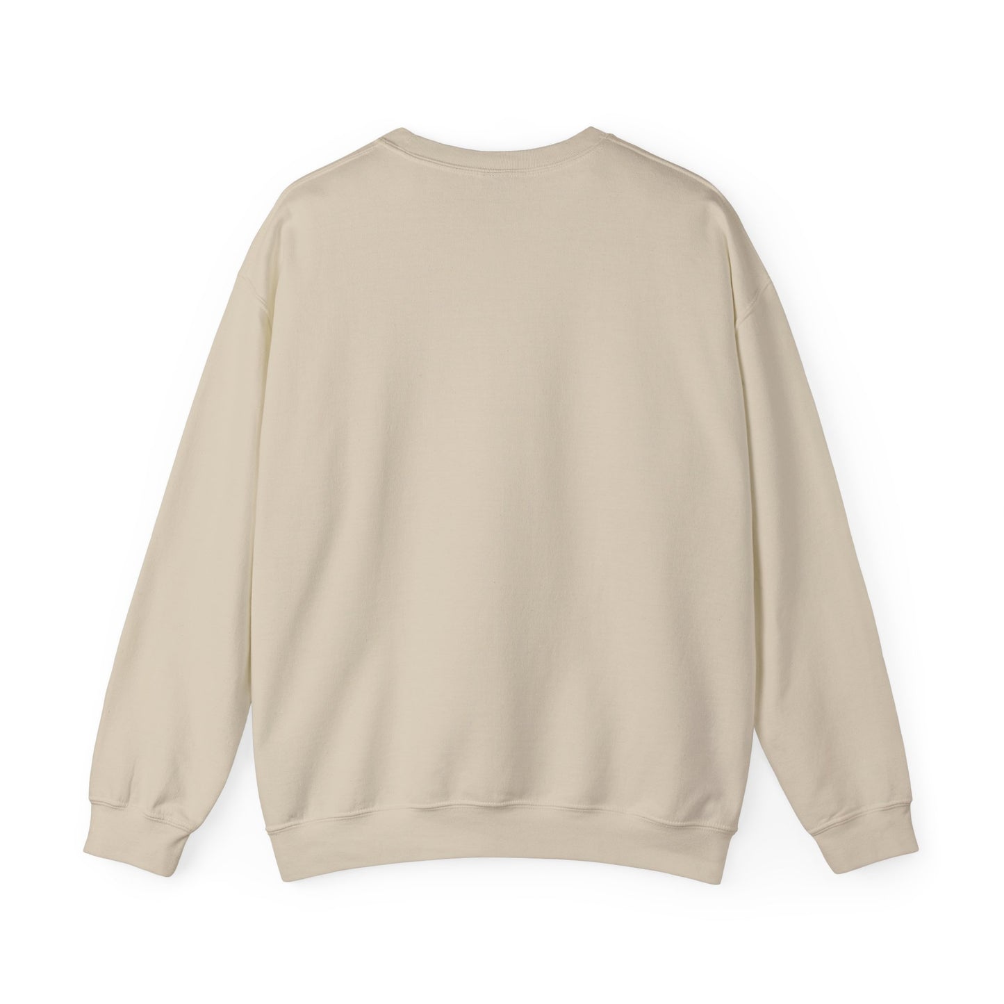 USAF Roundel Crewneck Sweatshirt