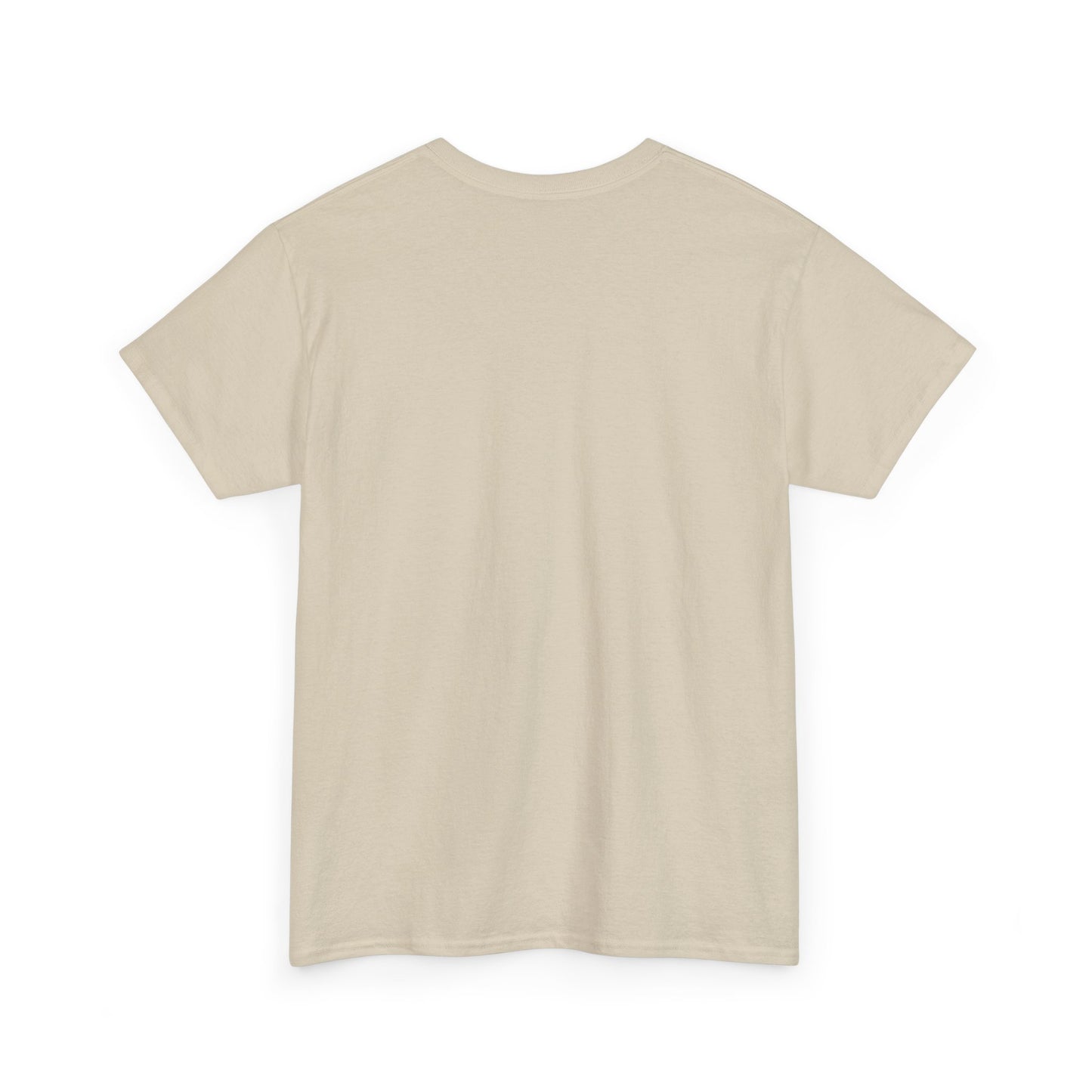 USAF Roundel Tee
