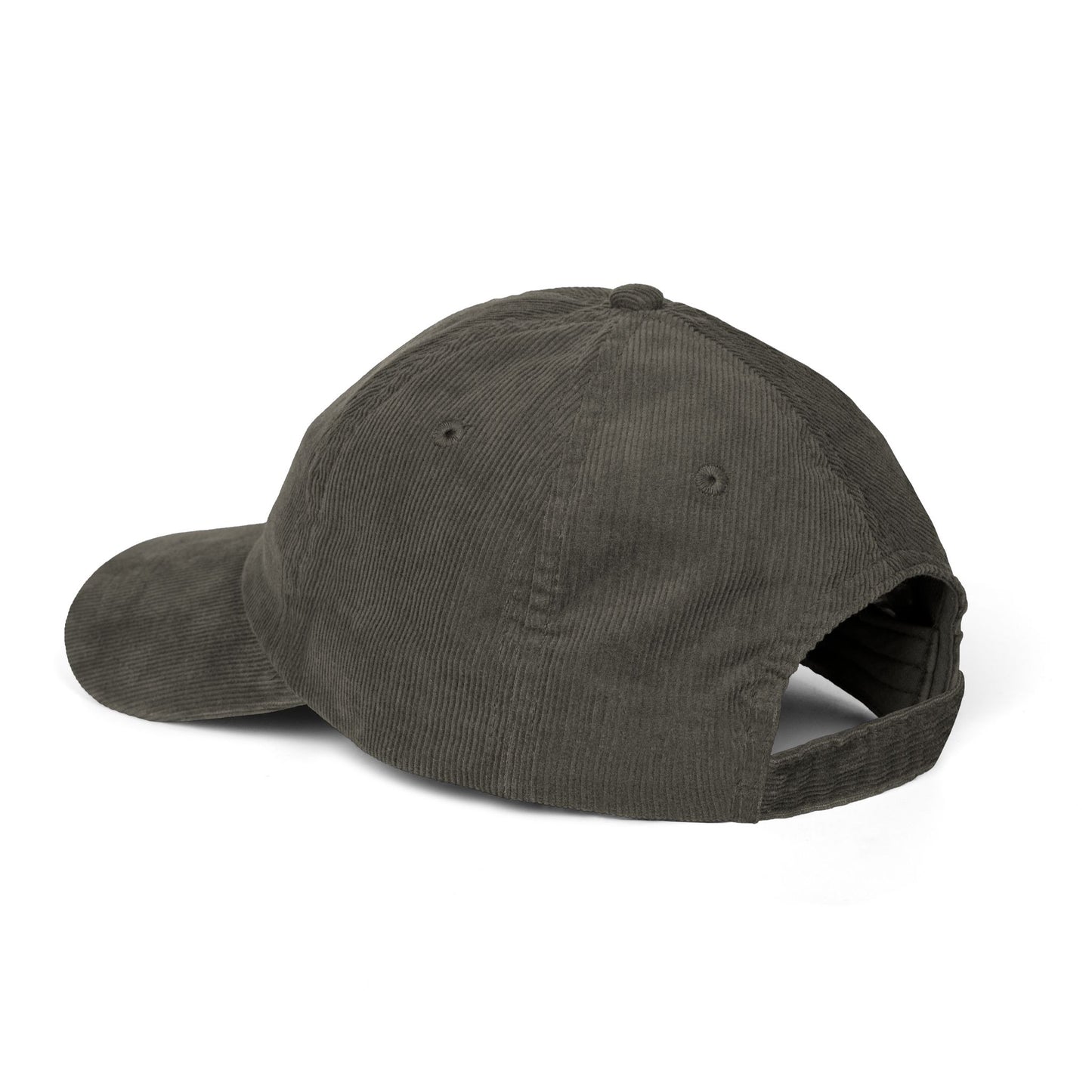 Embroidered USAF Roundel Corduroy Cap